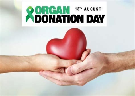 National Organ Donation Day 2024 Images Irene Leoline