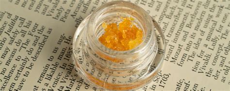 Six Ways to Make Cannabis Extracts & Concentrates: Which Is Best for ...