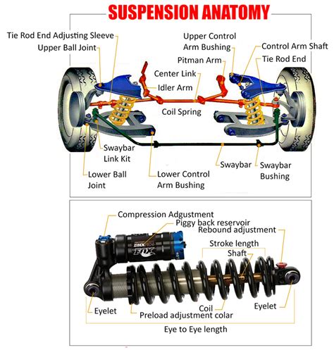 Suspension Anatomy Car Anatomy