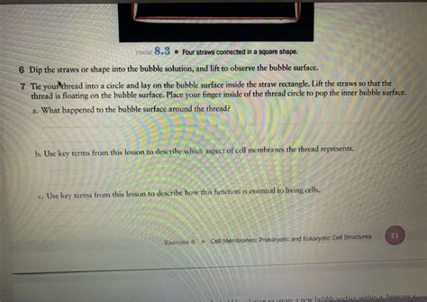 Solved Search Cell Membranes: Prokaryotic and Eukaryotic | Chegg.com 