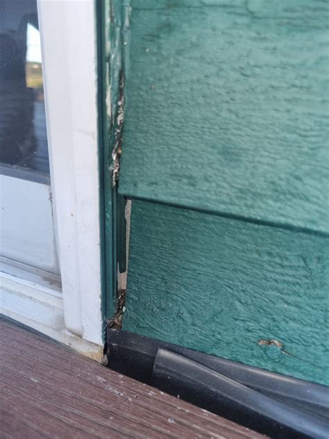 How To Fix Glass Sliding Doors Leaking A Bunnings Workshop Community