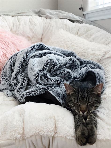 Best East Coast Images On Pholder Abandoned Porn Earth Porn And