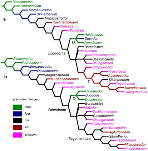 Strict Consensus Of Six Most Parsimonious Trees Produced By Tnt Download Scientific Diagram