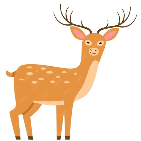 Premium Vector Vector Illustration Of A Deer In A Flat Style