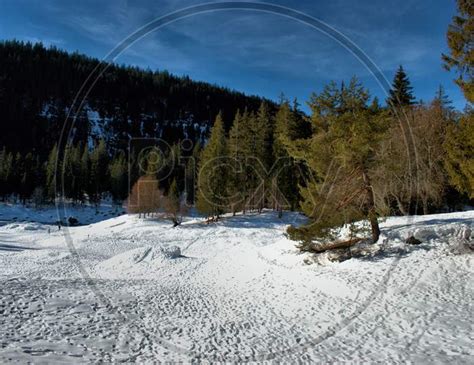 Image Of Winter Scenery At The Lake Cauma Near Flims In Switzerland