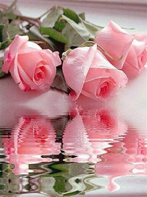 Flower Diamond Painting Kit - DIY Flower-19 – Diamond Painting Lovers