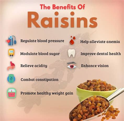 Raisins Health Benefits For Pregnancy At Robert Savage Blog