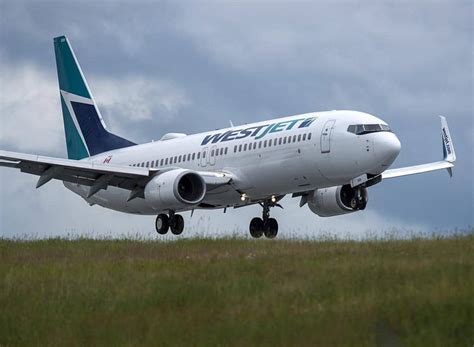 Westjet Travel Flight Numbers Signal Start To Pandemic Recovery