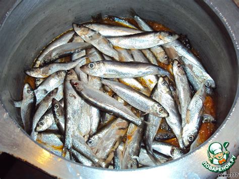 Домашние рыбные консервы – кулинарный рецепт
