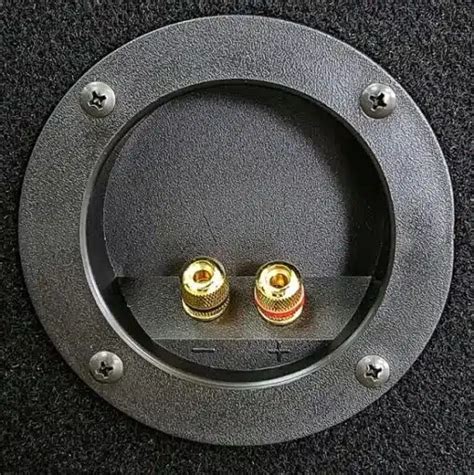 Purchase the SB015 - Single 15" Carpeted Subbox Online - BigNoise Audio