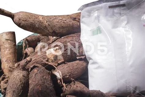 Packaged cassava root and organic cassava root starch. clipping path ...