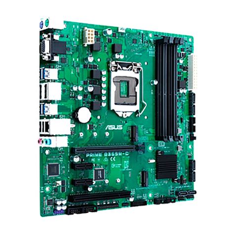 Asus Prime B365M-C Hauptplatine Grün | Techinn