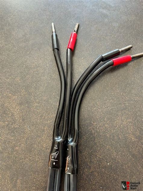 Audioquest Rocket Speaker Cables With Banana Plug Ends Photo