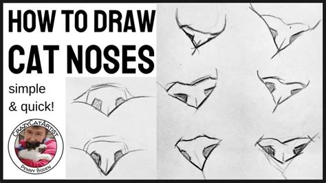 How To Draw Simple Cute Cat Noses Expressively Realist Different Ways