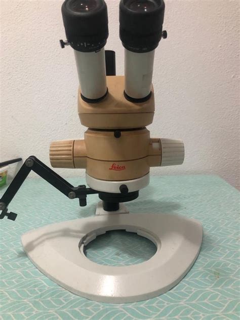 Microscopio leica Mina De Água OLX Portugal