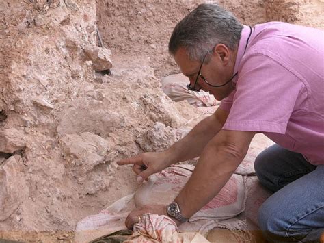 Homo Sapiens Une Esp Ce Invasive Le On Inaugurale De Jean Jacques Hublin