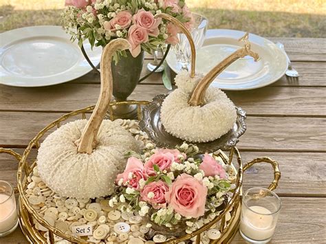 White Pearl Pumpkins Velvet Pumpkins With Real Stems Cinderella