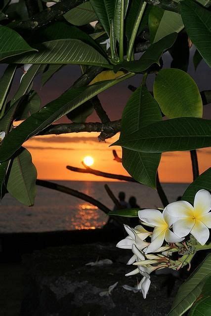 Hawaiian Sunset By Sosidesc Sunsets Hawaii Hawaiian Sunset Tropical