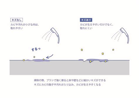 お風呂のカビは予防が重要！カビ予防策を徹底解説 ビッグバイオ