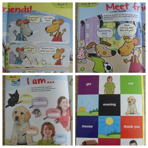 Is Bayard An English Word at Debra Masters blog