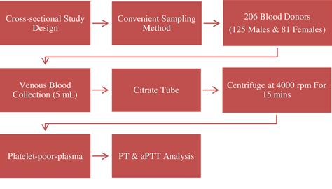 Table 1 From Age And Sex Related Reference Intervals Of Prothrombin