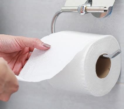 What Is The Toilet Roll Circumference? (Explained!)