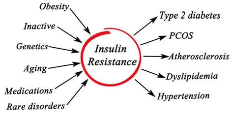 Insulin Resistance And Pcos What You Need To Know Martha Mckittrick