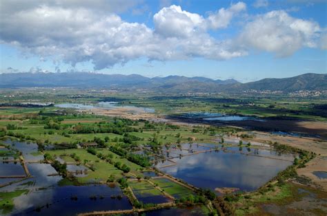 Parc Naturel Des Aiguamolls De Lempord Castelloempuriabrava