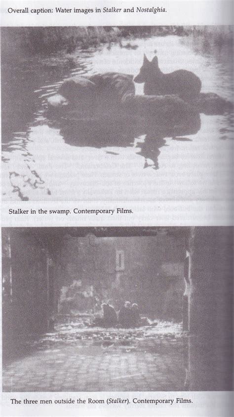 THE FILMS OF ANDREI TARKOVSKY • A Visual Fugue — Addieway Books