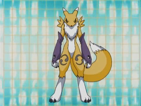 Renamon Nazi Hot Sex Picture