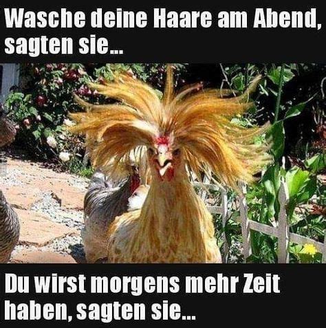 Witze Zum Lachen Ideen Witze Zum Lachen Witze Lustige Spr Che