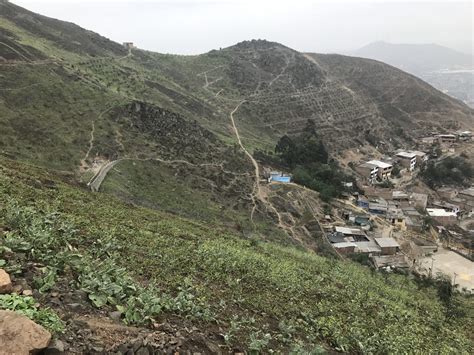 Predes presenta experiencia del Parque Forestal Boca de Sapo en el III Foro para América Latina