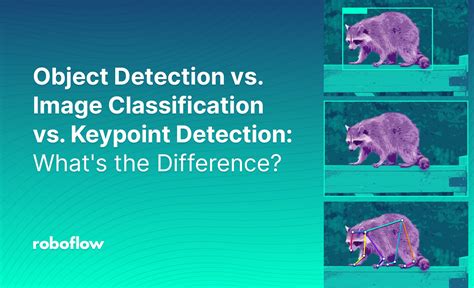 Object Detection Vs Image Classification Vs Keypoint Detection