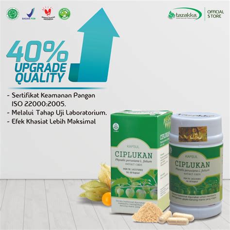 Jual Kapsul Ciplukan Tazakka Original Obat Jantung Herbal Diabetes