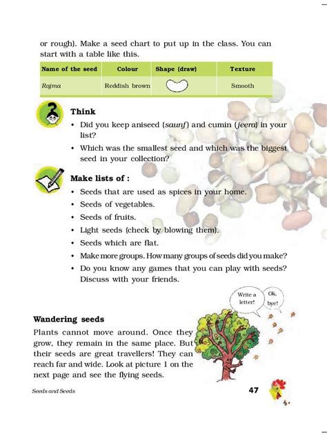 Ncert Book Class 5 Evs Chapter 5 Seeds And Seeds Aglasem Schools