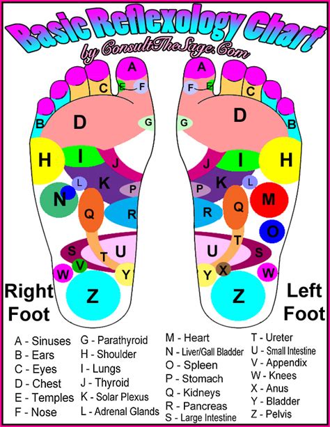 Easiest Reflexology Chart Ever