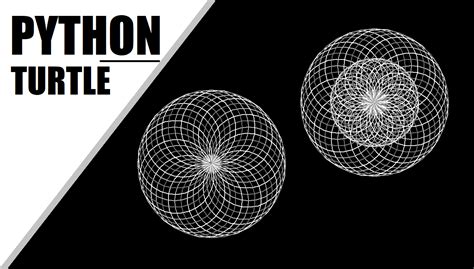 Python Turtle How To Draw A Circle