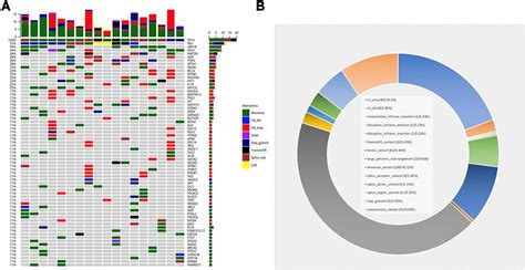 Mutation Landscape Of Sclc A Genomic Alteration Profiling X Axis Is