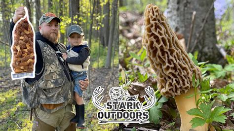Ohio Mushroom Hunting Guide