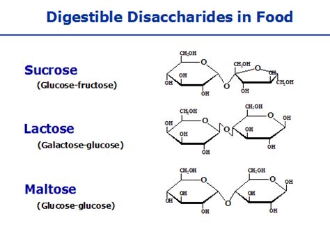 Disaccharides | Function, Structure & Examples Of Disaccharides | Chemistry | Byju's