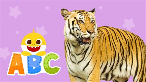 Learn ABCs with Baby Shark | Learn Animals | ABC Song | Baby Shark ABC for kids