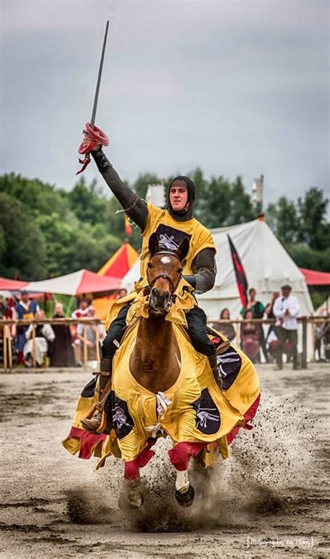 The Jousting Life The Swedish Championship Jousting Tournament