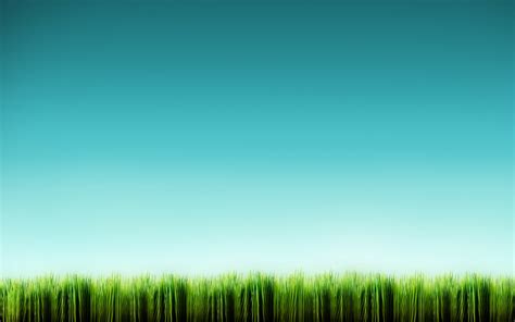 Grass wallpaper | 1920x1200 | #43167