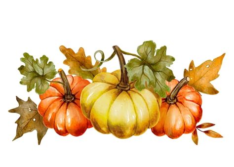 Citrouille D Automne Et Feuilles De Baies Florales Illustration