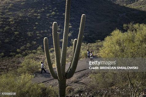 Tumamoc Hill Photos and Premium High Res Pictures - Getty Images