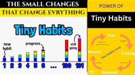 Tiny Habits The Small Changes That Change Everything Youtube