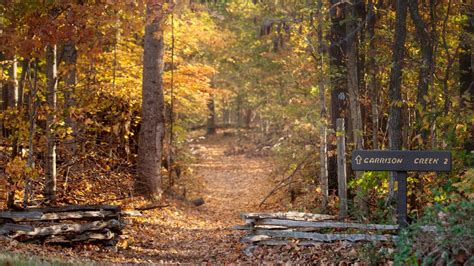 Hiking The Highland Rim Section Of The Natchez Trace National Scenic