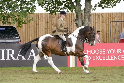 21 Stunning Show Ring Winners From The 2019 Royal International Horse