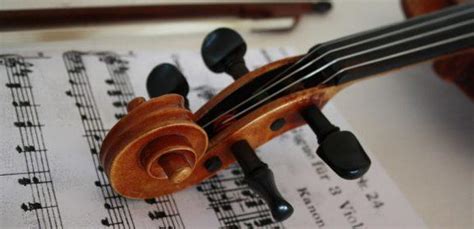 ¿cómo Elegir Un Violín Te Enseñamos Todos Los Tamaños Que Tienes A Tu Disposición