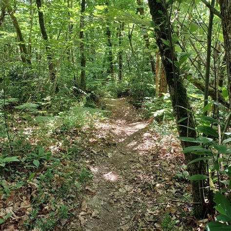 Charente Maritime Rando VTT Mazeray Fenioux